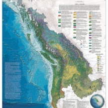 Decorative Esri award-winning map of Cascadia featuring detailed forest and woodland information along with other land cover types.Custom