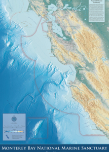 Decorative Maps, Custom