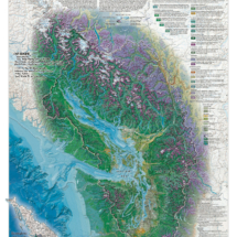 Wall art map of the Lillooet Country and Ish River region near the Salish Sea, featuring detailed forest, woodland, and natural landscape information