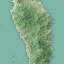 Domicia