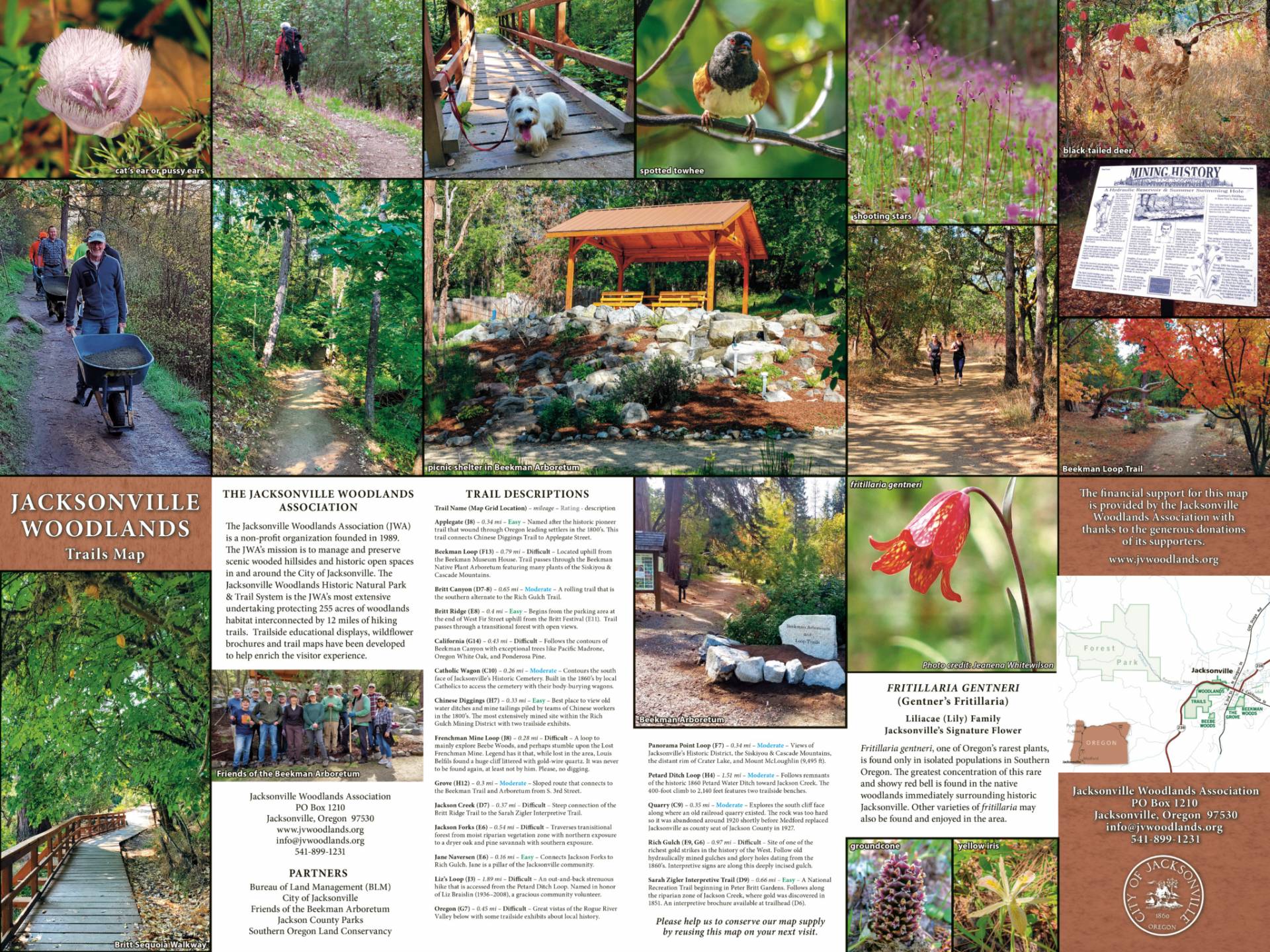 Infographic map of the Jacksonville Woodlands Trail system, featuring detailed trail routes, native wildlife, and local wildflowers with educational information
